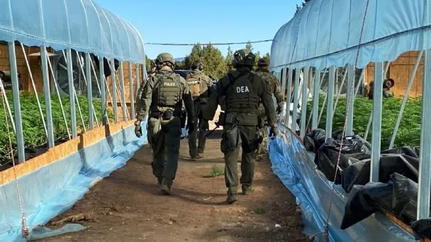 La DEA confirma que sí participó en la captura de Rafael Caro Quintero La DEA confirma que sí participó en la captura de Rafael Caro Quintero