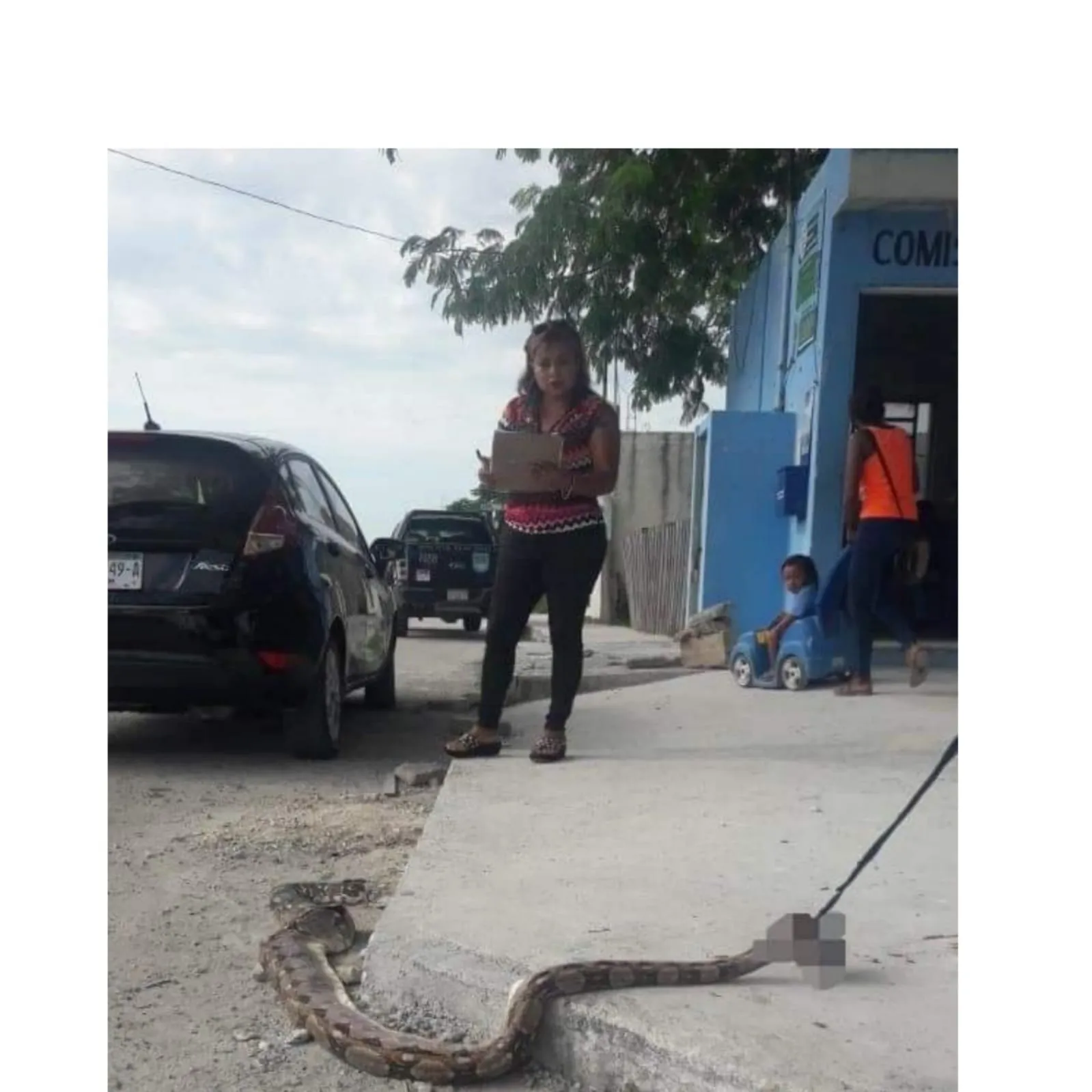 Boa se enreda en los pies de una mujer mientras rezaba en México Boa se enreda en los pies de una mujer mientras rezaba en México