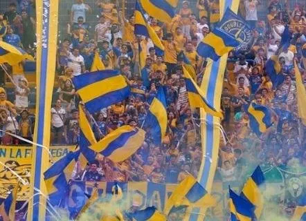 ¡Tigres campeón de la Liga Mx en el Clausura 2023! ¡Tigres campeón de la Liga Mx en el Clausura 2023!