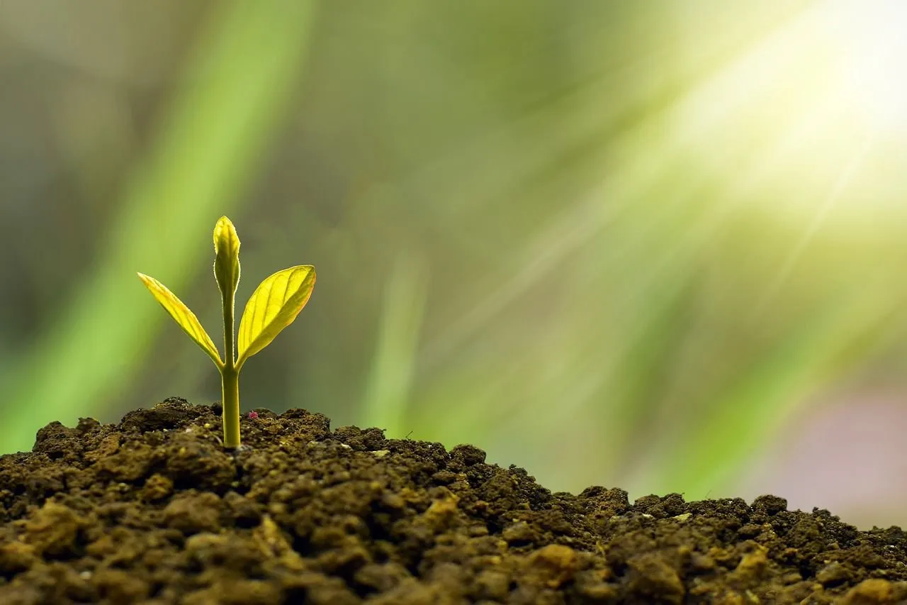 Con motivo del Día de la Tierra: estas son 6 acciones que puedes tomar para ayudar a regenerar el medio ambiente Con motivo del Día de la Tierra: estas son 6 acciones que puedes tomar para ayudar a regenerar el medio ambiente