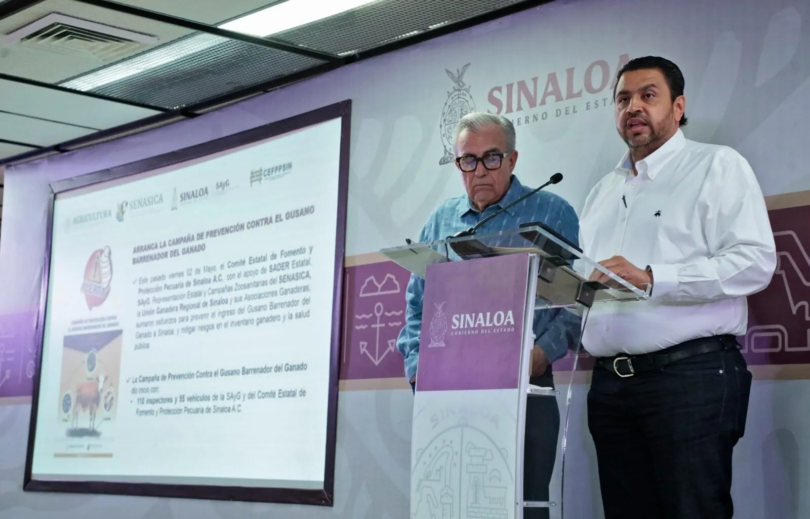 La ganadería sinaloense está libre del gusano barrenador, confirma el gobernador Rocha Moya La ganadería sinaloense está libre del gusano barrenador, confirma el gobernador Rocha Moya