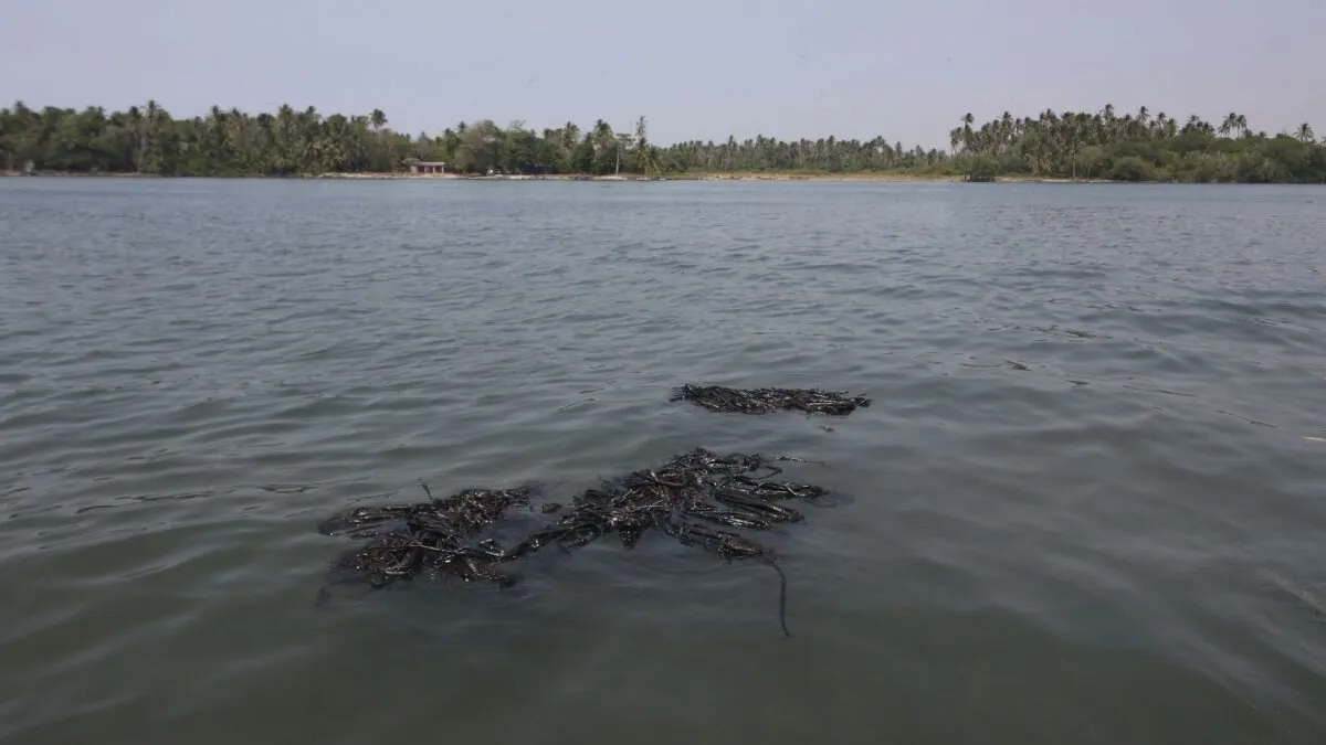 Pemex reporta fuga en ducto en Tabasco, causando derrame y afectando playas con contaminación y fauna muerta Pemex reporta fuga en ducto en Tabasco, causando derrame y afectando playas con contaminación y fauna muerta