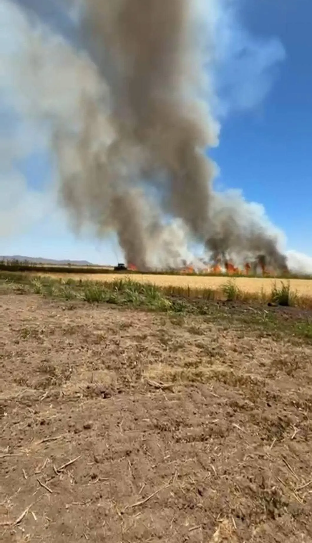 Reporta Bomberos que va a la baja incidentes por quema de soca en Ahome Reporta Bomberos que va a la baja incidentes por quema de soca en Ahome
