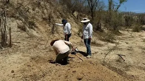 Sinaloa enfrenta crisis de desapariciones con más de 2 mil 500 casos en 10 meses: Cruz Bernal Sinaloa enfrenta crisis de desapariciones con más de 2 mil 500 casos en 10 meses: Cruz Bernal