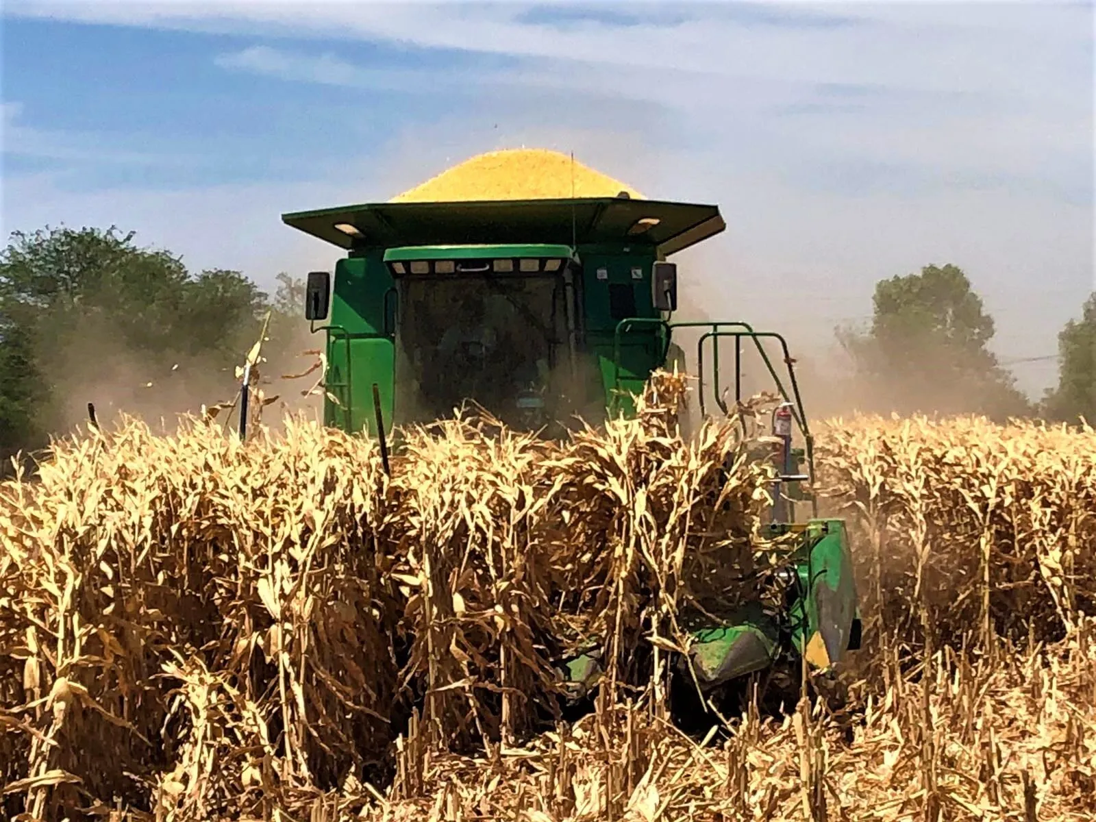 Productores se muestran indignados al recibir la noticia de que no hay recursos para el pago de apoyos pendientes Productores se muestran indignados al recibir la noticia de que no hay recursos para el pago de apoyos pendientes