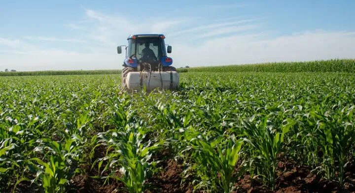 Diversificación de cultivos podría hacer posible un ciclo agrícola sostenible en otoño-invierno Diversificación de cultivos podría hacer posible un ciclo agrícola sostenible en otoño-invierno