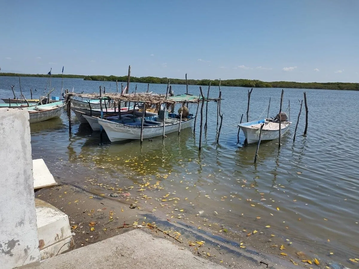 En El Colorado 40 viviendas sufrieron afectaciones por marea alta: PC En El Colorado 40 viviendas sufrieron afectaciones por marea alta: PC