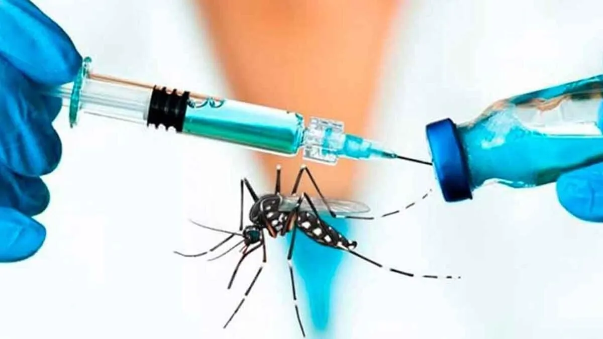 Hospital General de Los Mochis reporta cuatro casos de probable dengue Hospital General de Los Mochis reporta cuatro casos de probable dengue