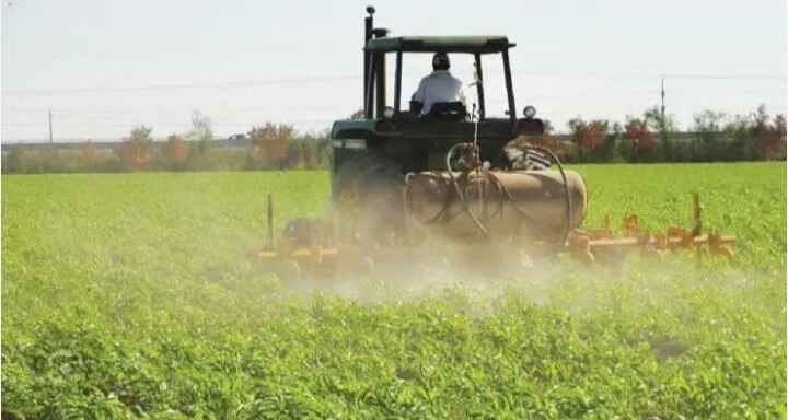 CAADES pide a productores agrícolas ser responsables al elegir el cultivo para sembrar CAADES pide a productores agrícolas ser responsables al elegir el cultivo para sembrar