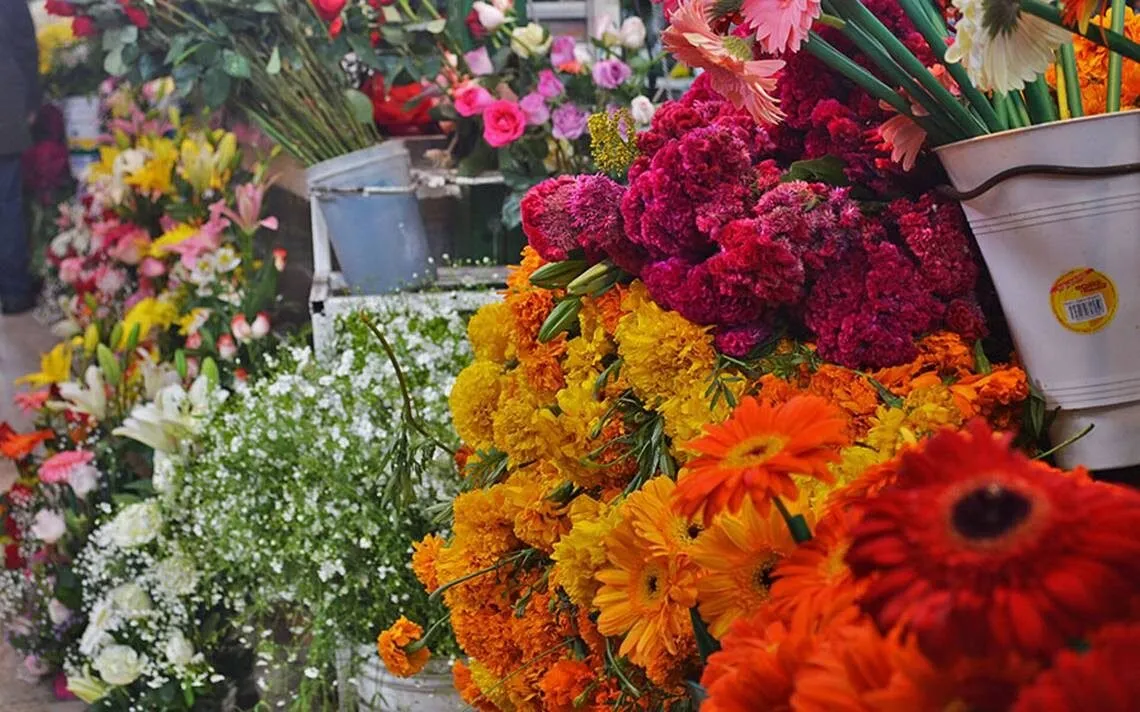 No habrá incremento en los precios de las flores en este Día de Muertos en Ahome No habrá incremento en los precios de las flores en este Día de Muertos en Ahome