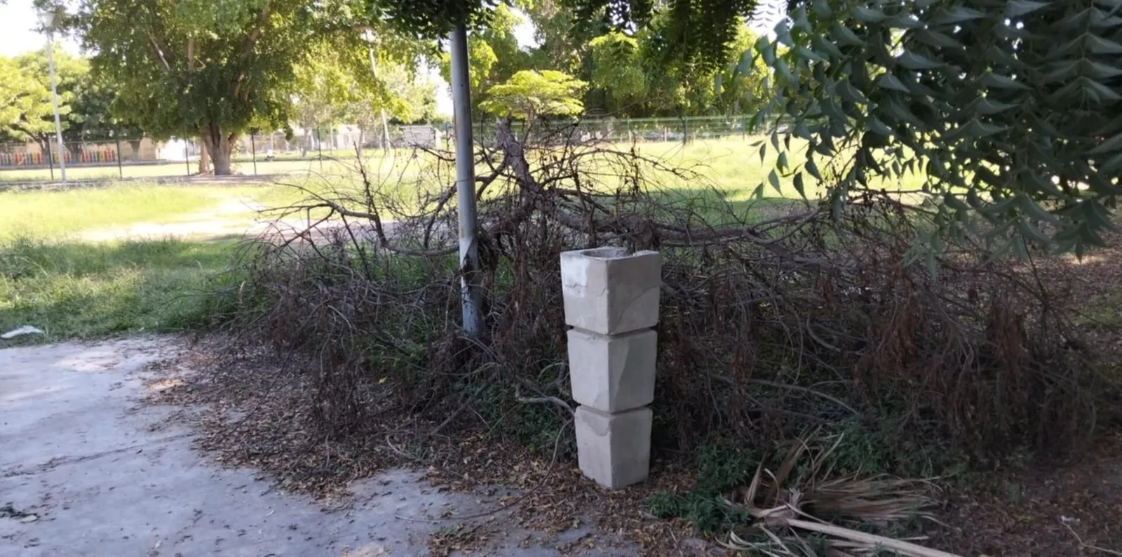 Habitantes de Las Huertas denuncian que el parque está en el abandono; lleno de maleza y bancas oxidadas Habitantes de Las Huertas denuncian que el parque está en el abandono; lleno de maleza y bancas oxidadas