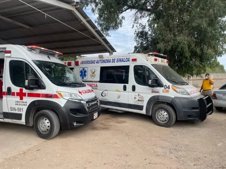 Por lo menos 25 trabajadores intoxicados por agroquímicos en empaque agrícola Por lo menos 25 trabajadores intoxicados por agroquímicos en empaque agrícola