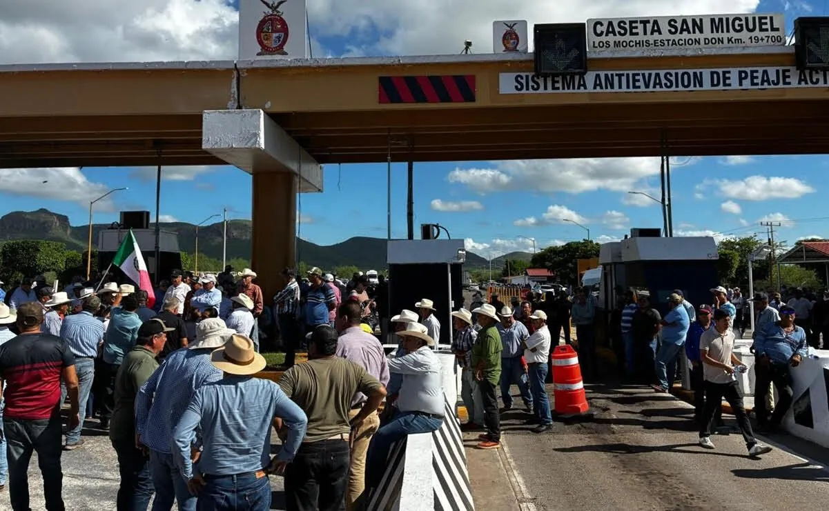 Productores de Sinaloa se manifestarán próximo lunes para exigir precio justo del maíz Productores de Sinaloa se manifestarán próximo lunes para exigir precio justo del maíz