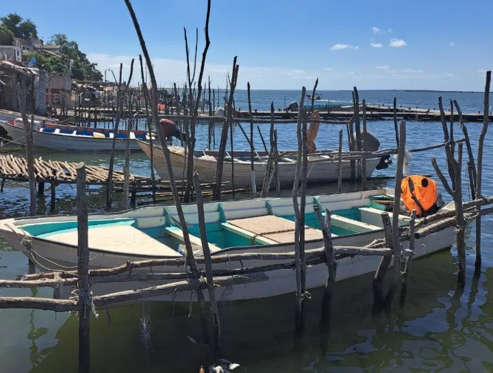 Pescadores del norte de Sinaloa se ven obligados a emigrar; el mar ya no es rentable Pescadores del norte de Sinaloa se ven obligados a emigrar; el mar ya no es rentable