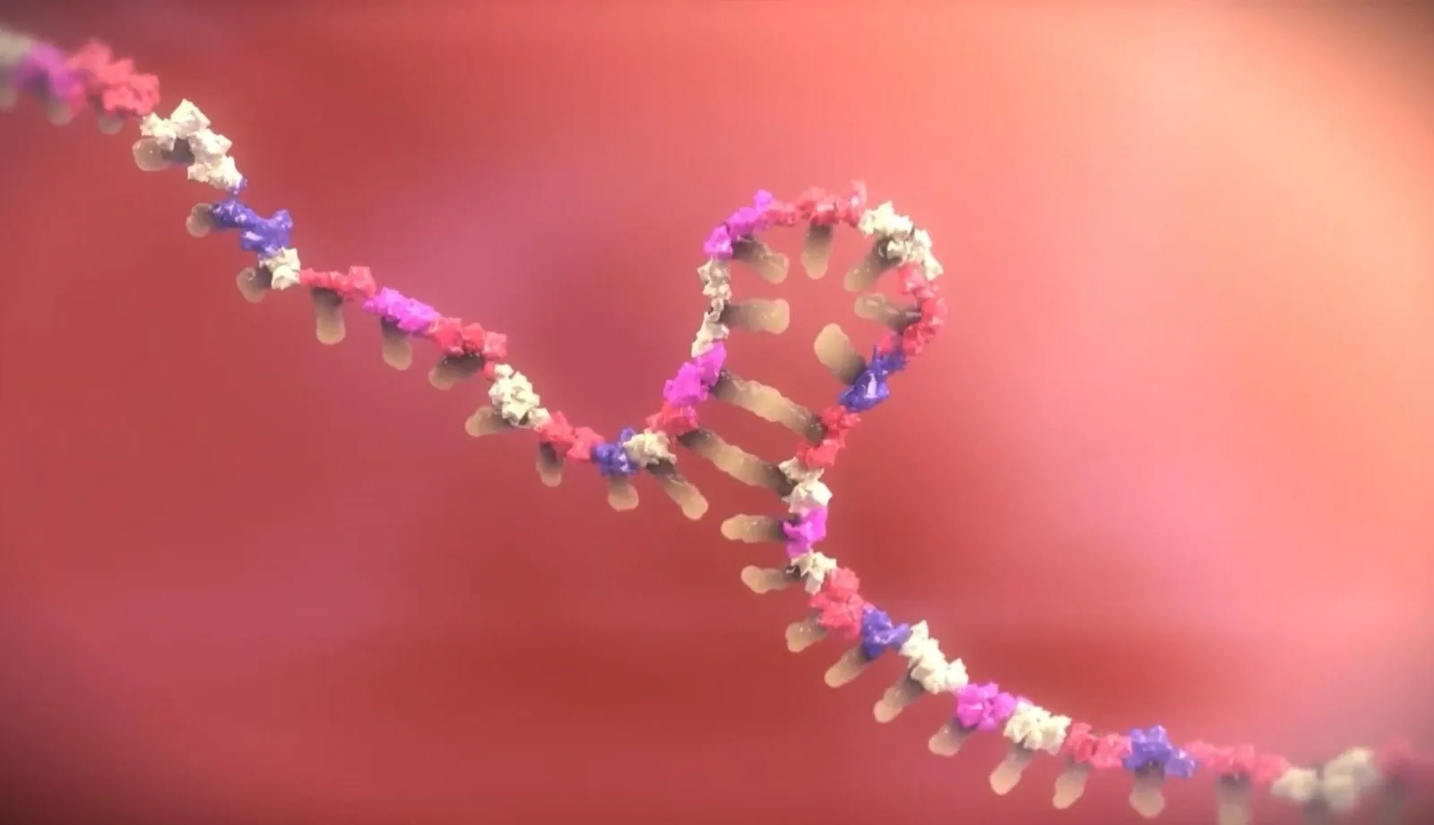 Investigadores buscan revertir la resistencia al tratamiento en cáncer cervicouterino; desarrollan estrategia molecular para mejorar la eficacia de las quimioterapias Investigadores buscan revertir la resistencia al tratamiento en cáncer cervicouterino; desarrollan estrategia molecular para mejorar la eficacia de las quimioterapias