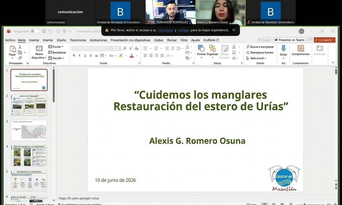 Bienestar Universitario conmemora el Día Mundial de los Océanos con llamado a proteger los manglares; analizan acciones para la restauración del estero de Urías Bienestar Universitario conmemora el Día Mundial de los Océanos con llamado a proteger los manglares; analizan acciones para la restauración del estero de Urías
