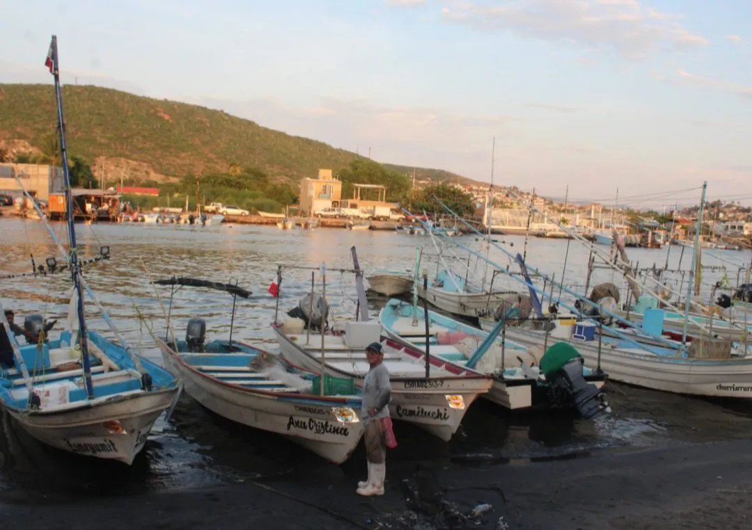 Norte de Sinaloa se vacía: El mar no da y los jóvenes emigran de los campos pesqueros Norte de Sinaloa se vacía: El mar no da y los jóvenes emigran de los campos pesqueros