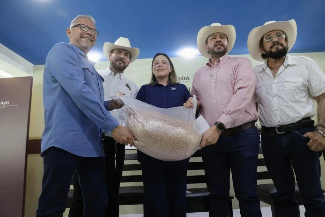 Entrega gobernadora Yeraldine semilla de sorgo a más de 3 mil 800 ganaderos de Sinaloa Entrega gobernadora Yeraldine semilla de sorgo a más de 3 mil 800 ganaderos de Sinaloa