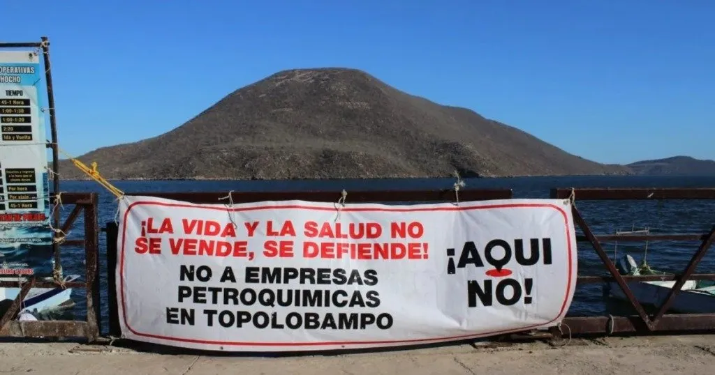 Diálogo Ecológico en la Bahía de Ohuira: Entre la tensión industrial y la defensa del territorio Diálogo Ecológico en la Bahía de Ohuira: Entre la tensión industrial y la defensa del territorio