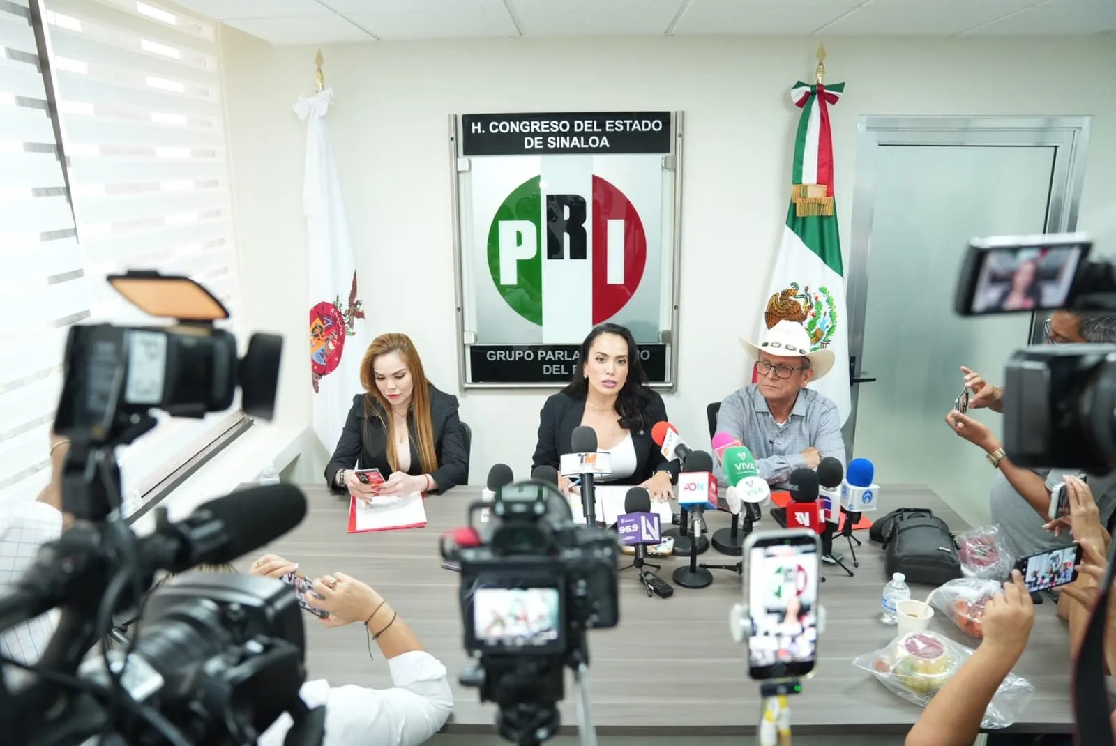 La pérdida de más de 22 mil empleos formales frena la recuperación económica de Sinaloa: Paola Gárate La pérdida de más de 22 mil empleos formales frena la recuperación económica de Sinaloa: Paola Gárate