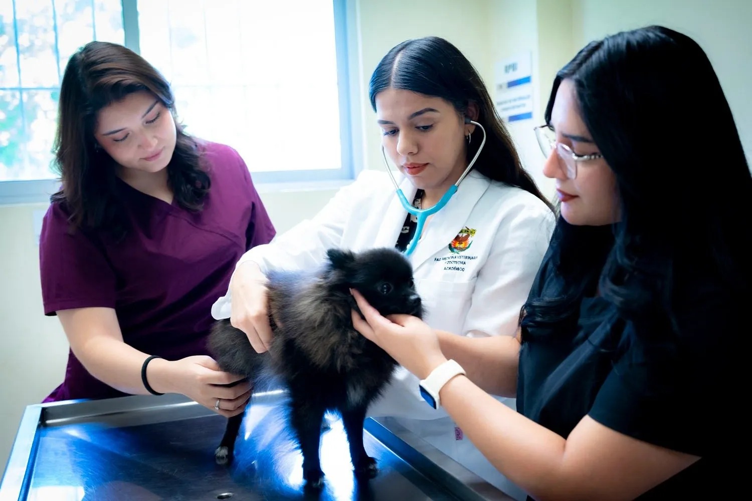 El golpe de calor en mascotas puede ser mortal: Especialista explica cómo evitar el fallo multiorgánico; consejos para evitar tragedias este verano El golpe de calor en mascotas puede ser mortal: Especialista explica cómo evitar el fallo multiorgánico; consejos para evitar tragedias este verano