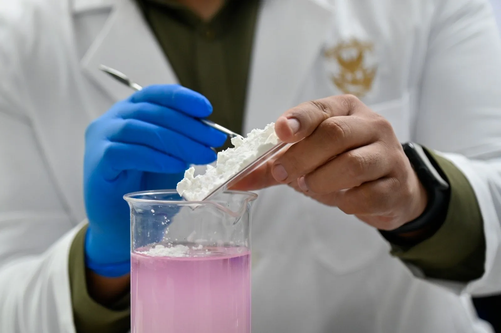 Científicos de la UAS desarrollan biopelículas comestibles a base de plantas regionales para prolongar la vida de las cosechas y reducir pérdidas agrícolas Científicos de la UAS desarrollan biopelículas comestibles a base de plantas regionales para prolongar la vida de las cosechas y reducir pérdidas agrícolas