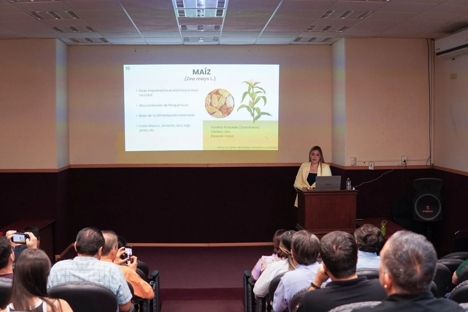 ¡Innovación rosalina! Desarrolla estudiante de Posgrado de Ciencia y Tecnología de Alimentos de la UAS botana nutracéutica a base de maíz azul y ajonjolí ¡Innovación rosalina! Desarrolla estudiante de Posgrado de Ciencia y Tecnología de Alimentos de la UAS botana nutracéutica a base de maíz azul y ajonjolí