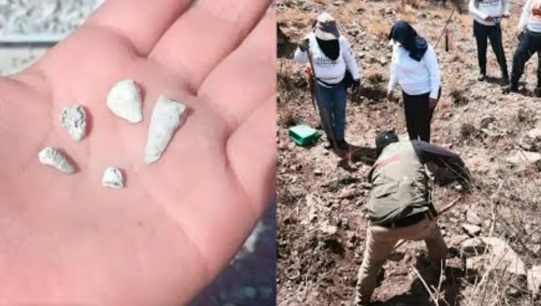 Hallazgo de horror en Zacapu: denuncian 1,600 dientes de leche en presunto rancho de exterminio Hallazgo de horror en Zacapu: denuncian 1,600 dientes de leche en presunto rancho de exterminio