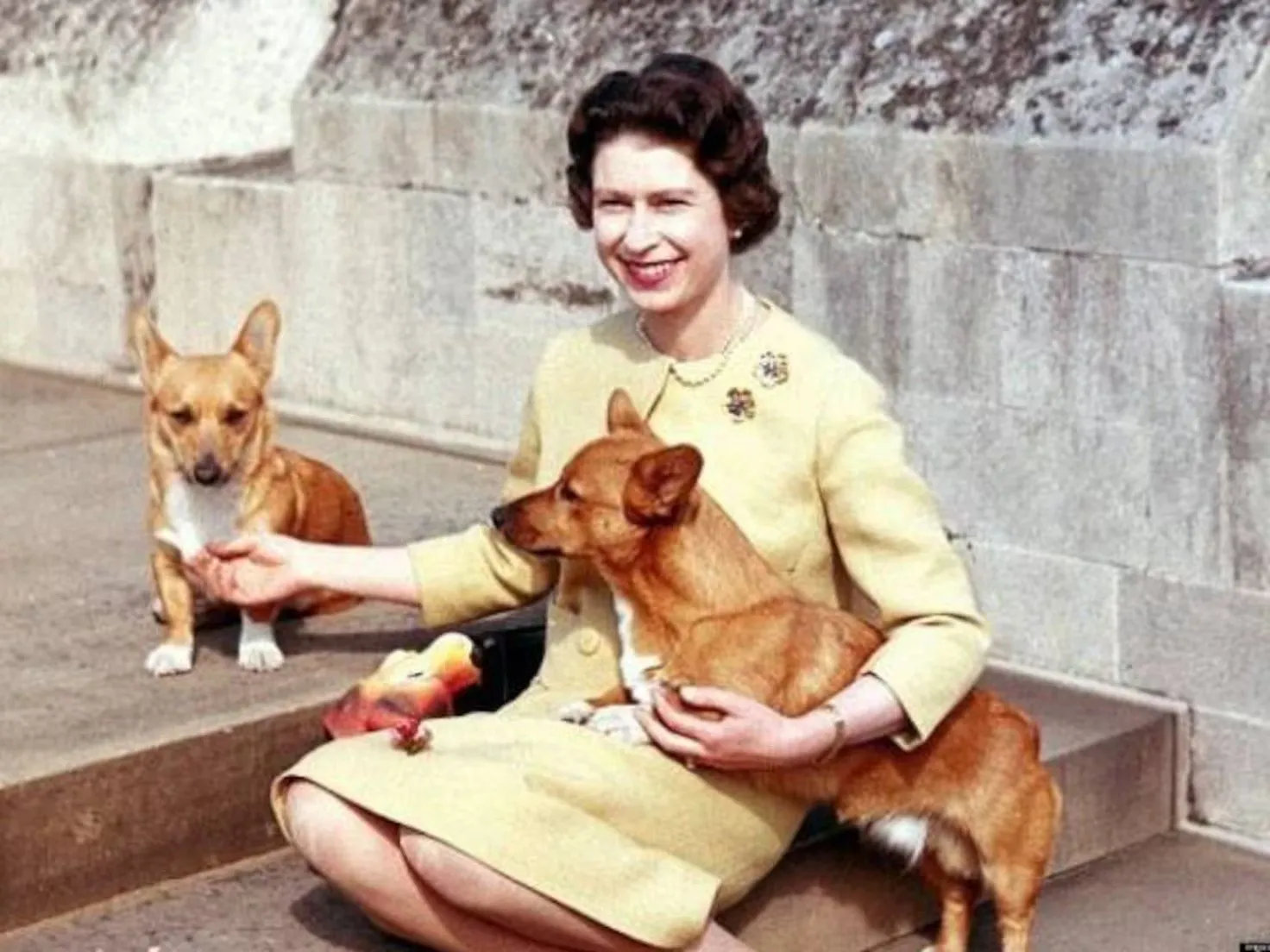 El legado de cuatro patas: ¿Cuántos corgis tuvo la Reina Isabel II y qué fue de ellos tras su fallecimiento? El legado de cuatro patas: ¿Cuántos corgis tuvo la Reina Isabel II y qué fue de ellos tras su fallecimiento?