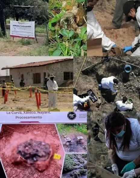 La Casa de las Atrocidades de Xalisco: el México donde se puede desaparecer y ser incinerado sin que nadie se entere por seis años La Casa de las Atrocidades de Xalisco: el México donde se puede desaparecer y ser incinerado sin que nadie se entere por seis años