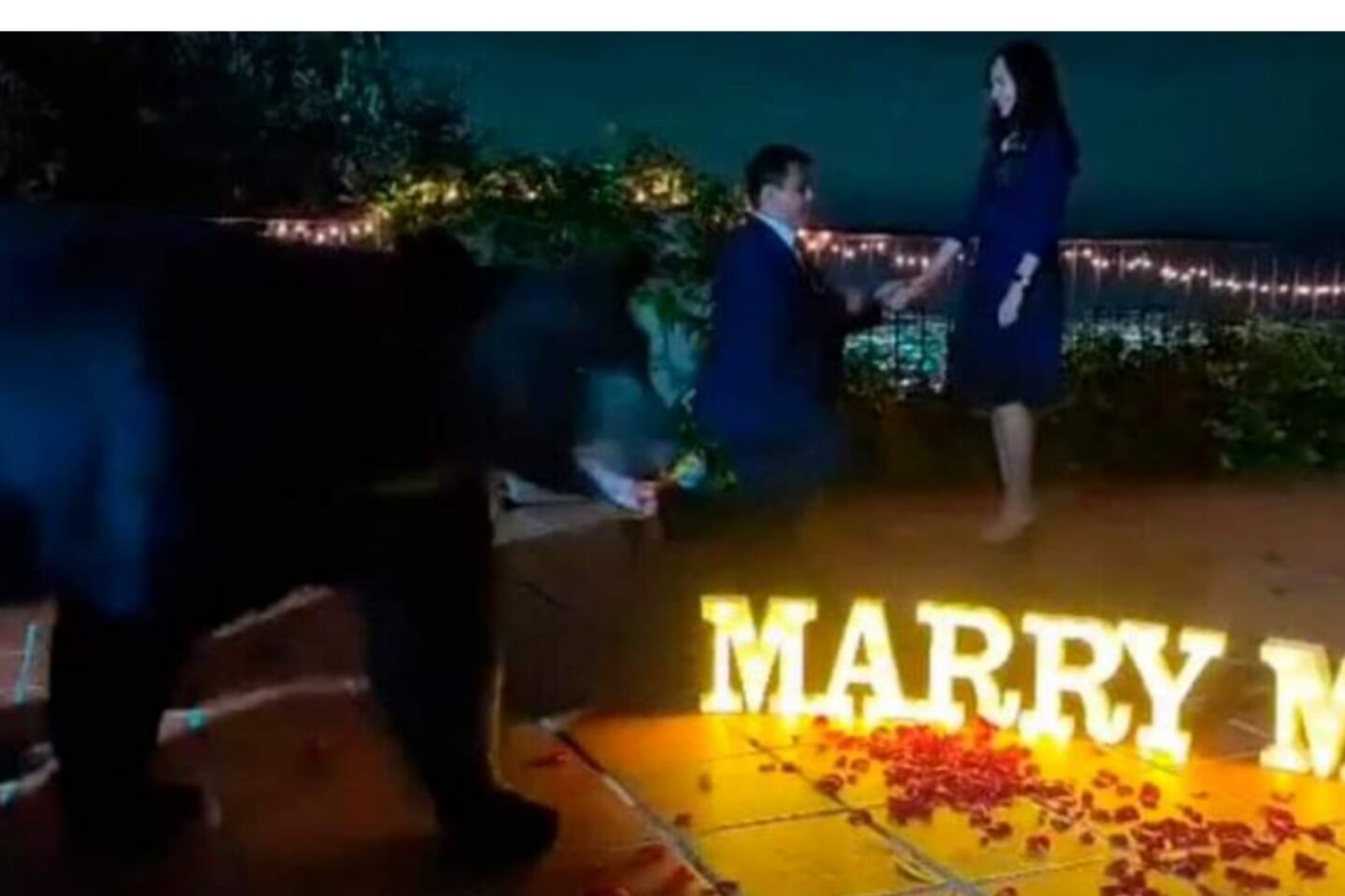 Un enorme oso interrumpe una propuesta de matrimonio y todo queda grabado