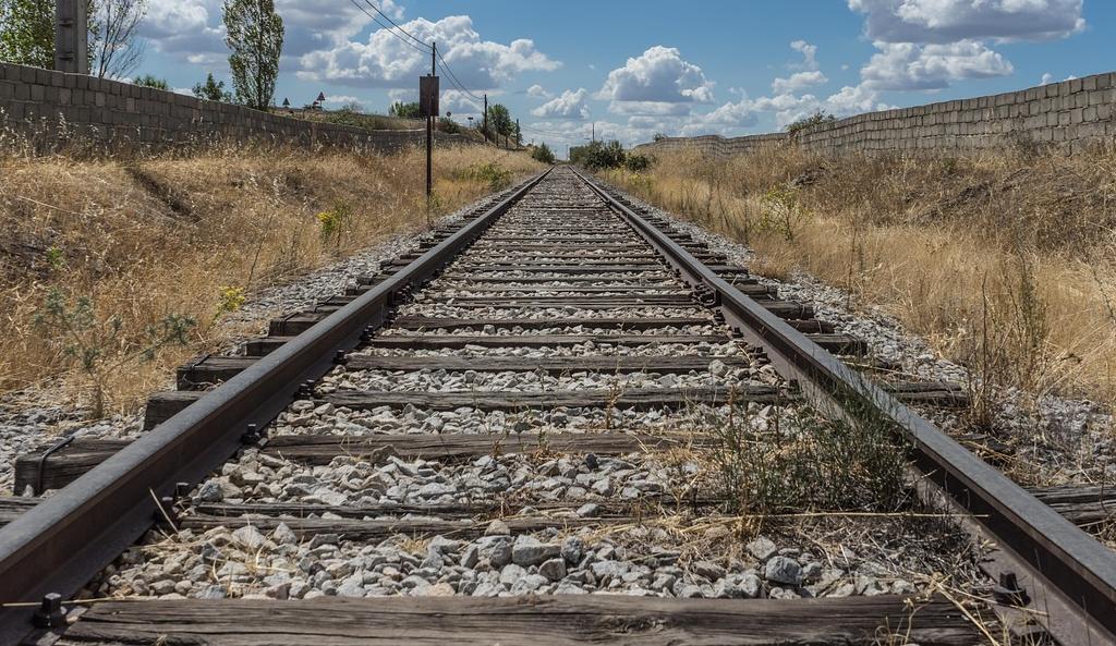 Pierde la vida tras caer de un tren en movimiento