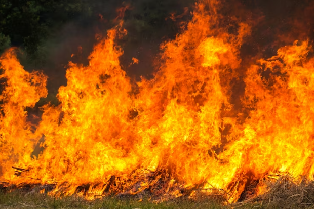 Miles de canadienses son obligados a evacuar por incendio forestal en el este del país