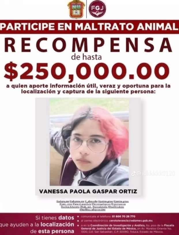 ﻿Piden ‘Justicia para Huellitas’ un perrito asesinado en Puebla