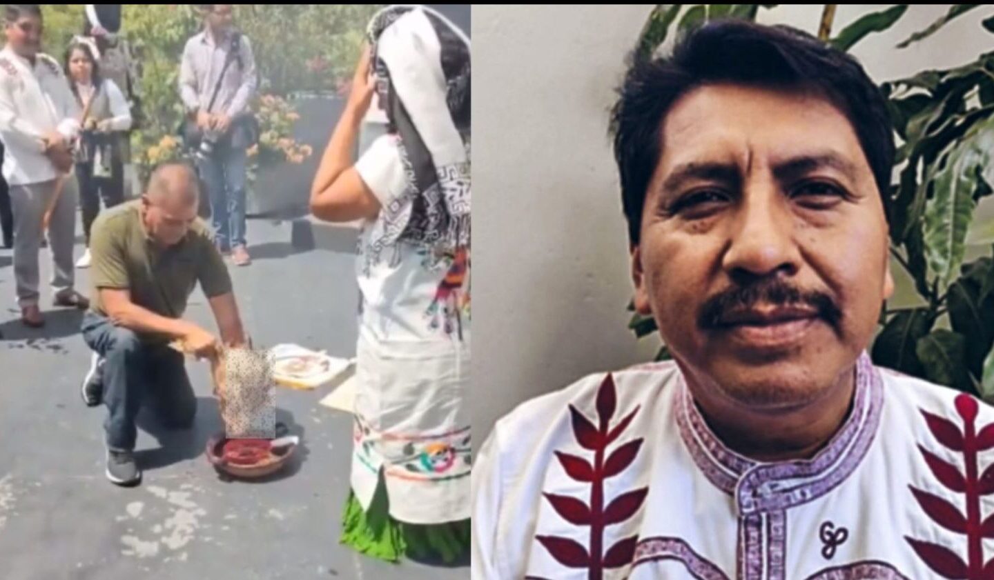 Hacen sacrificio de gallina en Senado de la República,  ¡Preparan sanción!