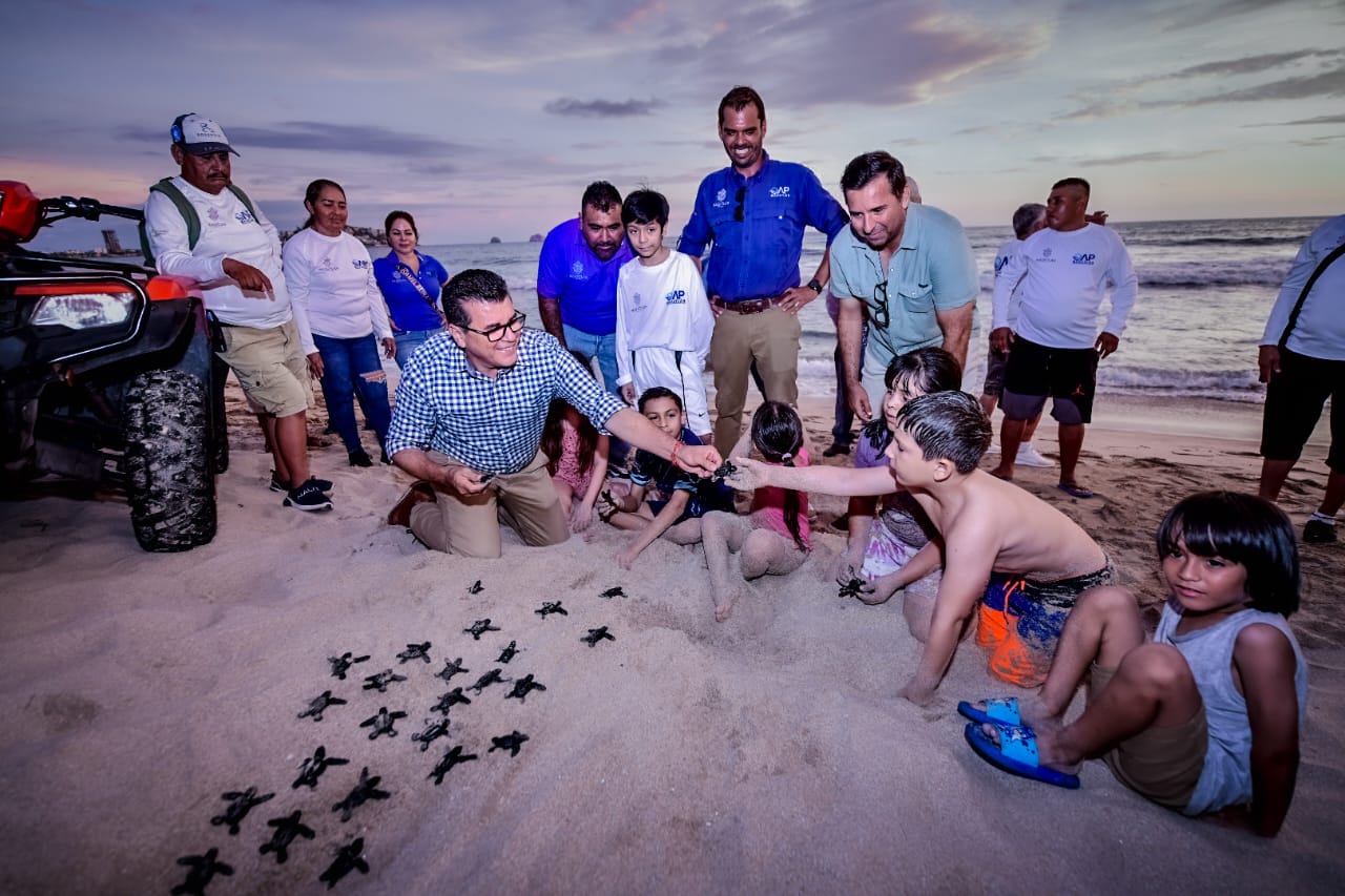 Arranca Gobierno de Mazatlán Programa de Protección a la Tortuga Marina para la temporada 2024.
