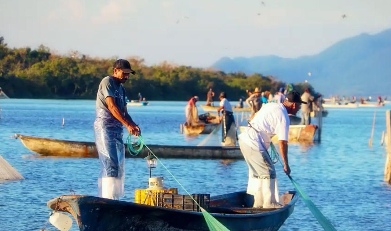 Sinaloa, líder nacional en producción pesquera y acuícola