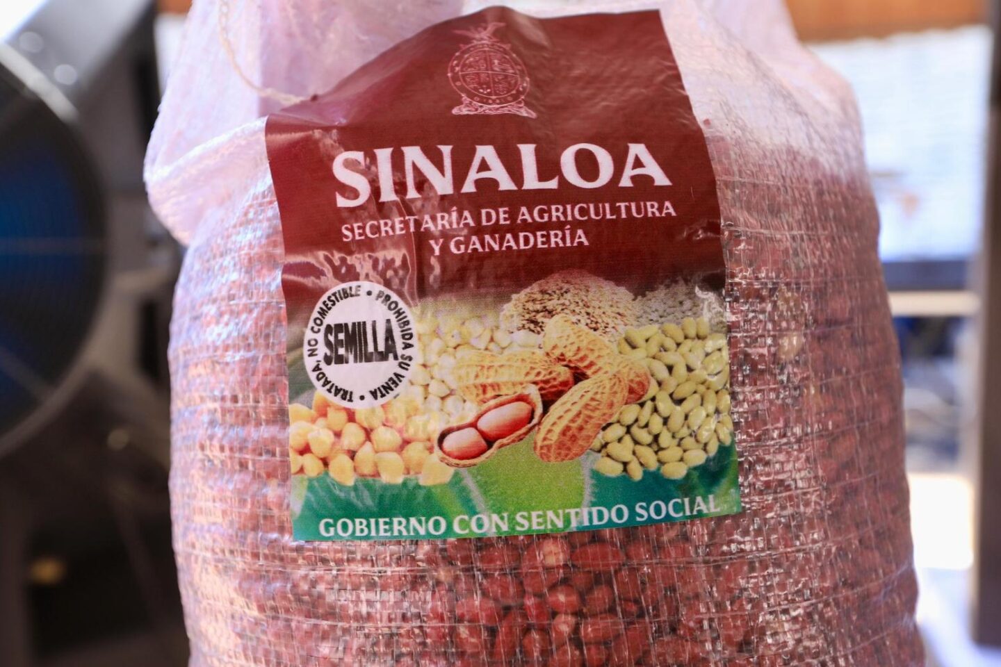 Entrega Rocha semillas de diferentes cultivos a productores temporaleros