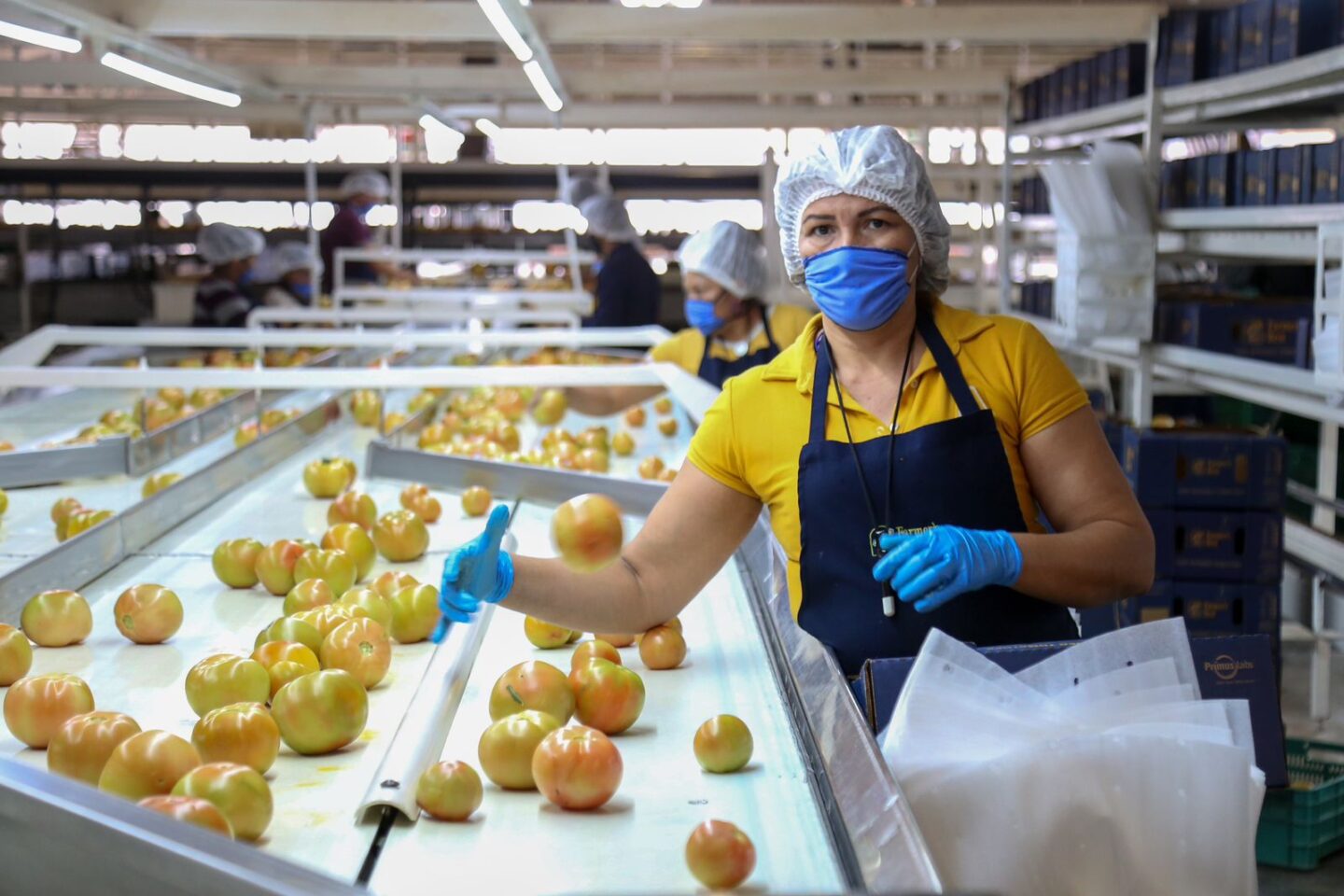 Sinaloa lidera el crecimiento económico nacional en el primer trimestre de 2024