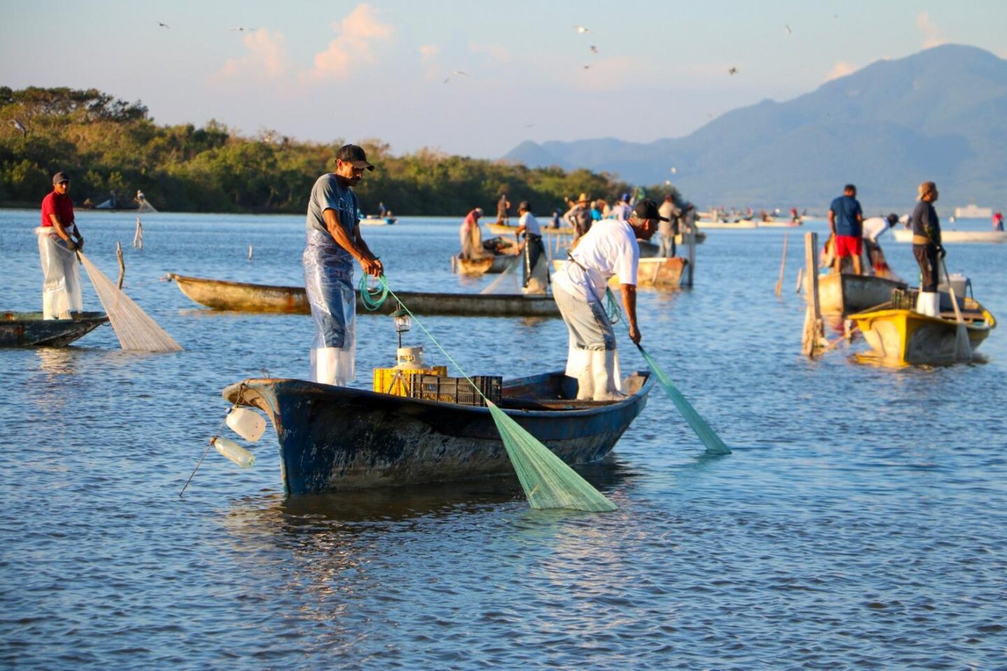 Pescadores recibirán el Bienpesca Estatal en septiembre: Flor Emilia Guerra Mena