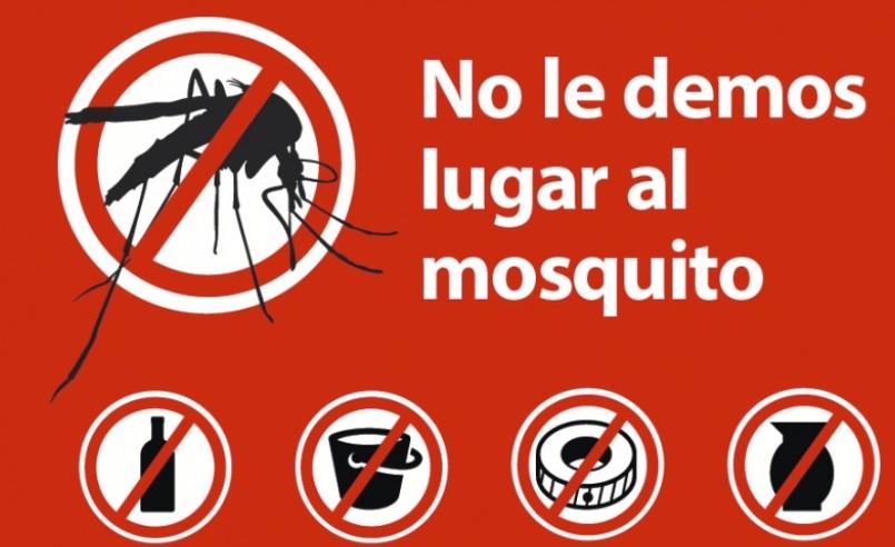 De esta forma puedes reducir el riesgo de contraer dengue