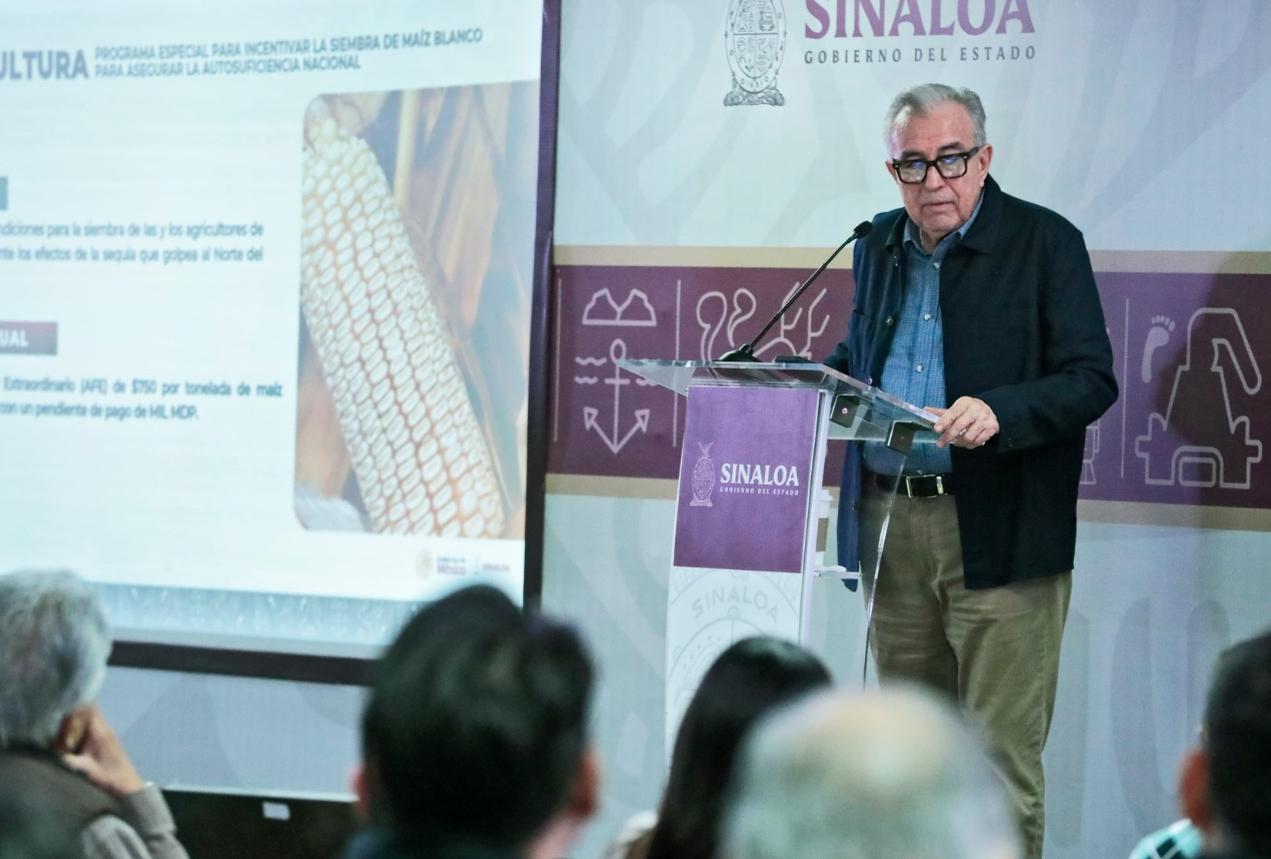 Se pagará a los productores de maíz antes de que finalice el año: Rocha