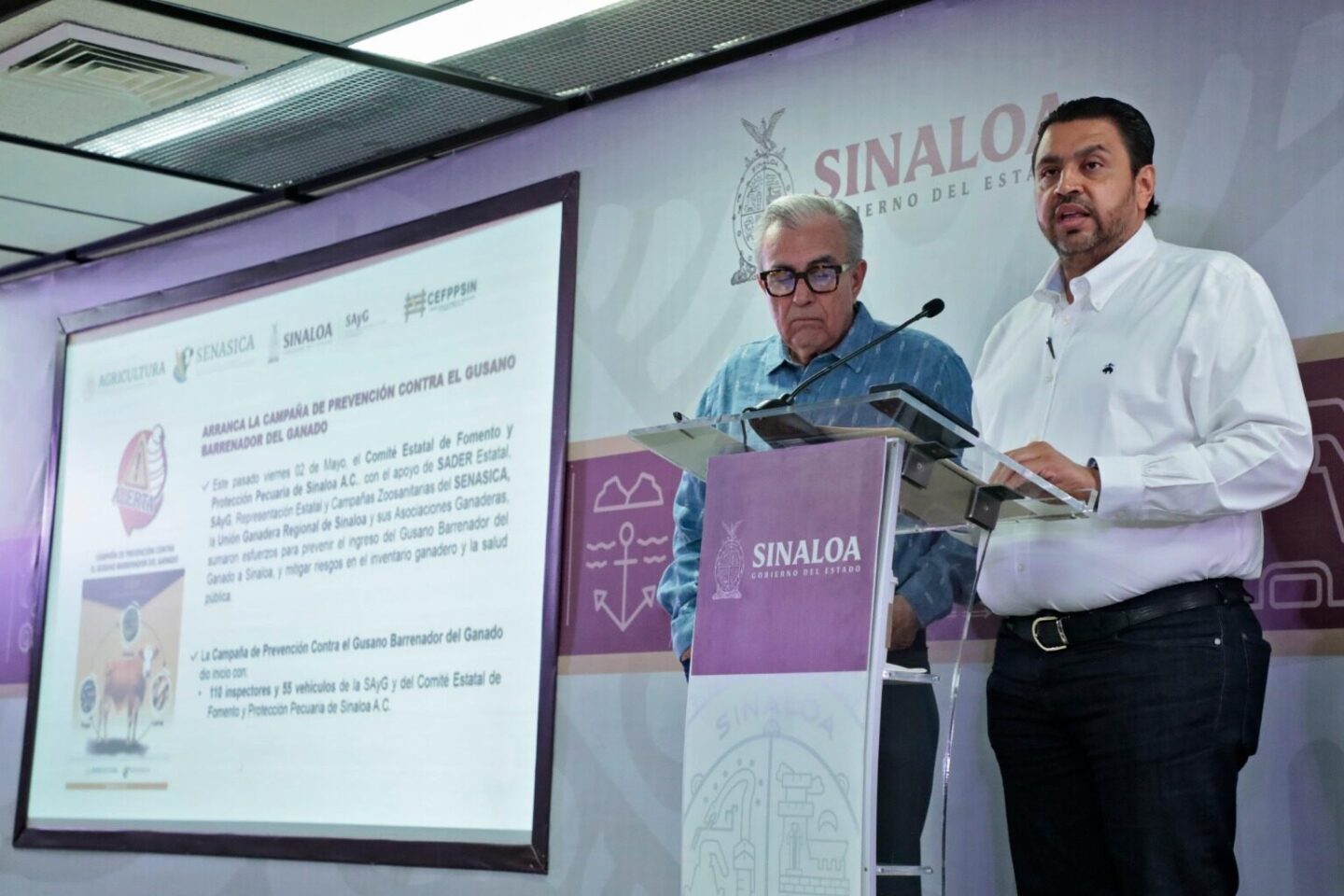 La ganadería sinaloense está libre del gusano barrenador, confirma el gobernador Rocha Moya