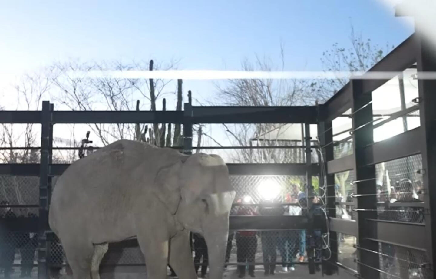 Bioparc Mazatlán, se proyecta como el santuario de vida silvestre más importante de Latinoamérica: Raúl Villavicencio