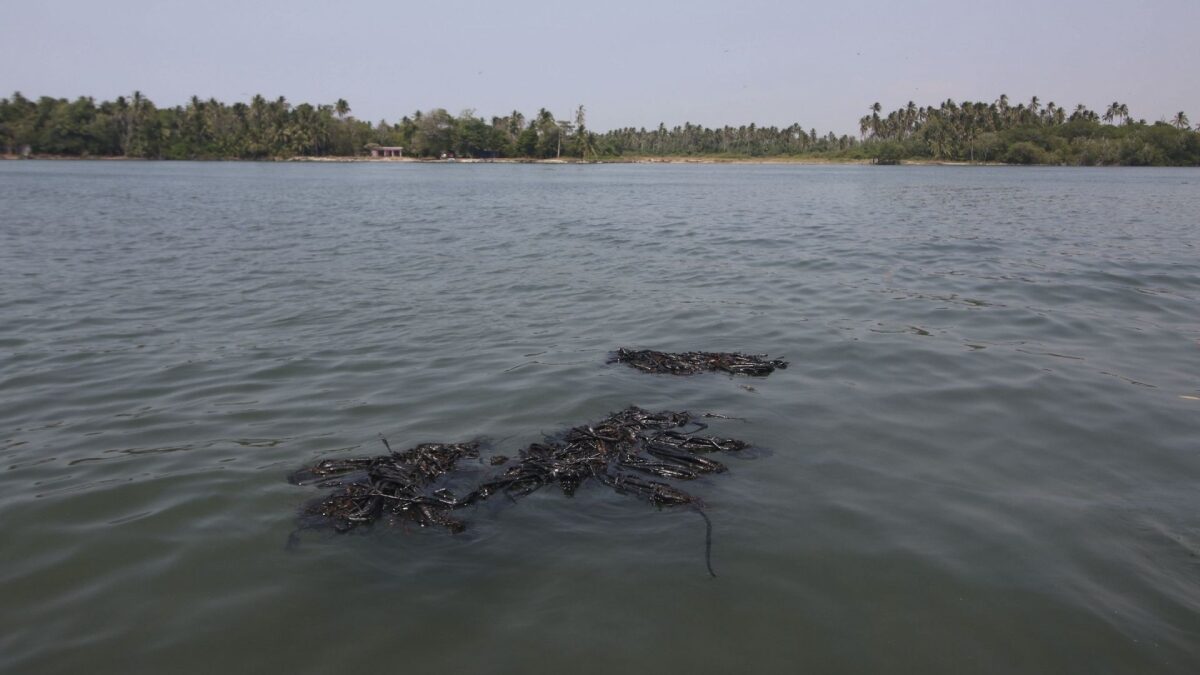 Pemex reporta fuga en ducto en Tabasco, causando derrame y afectando playas con contaminación y fauna muerta