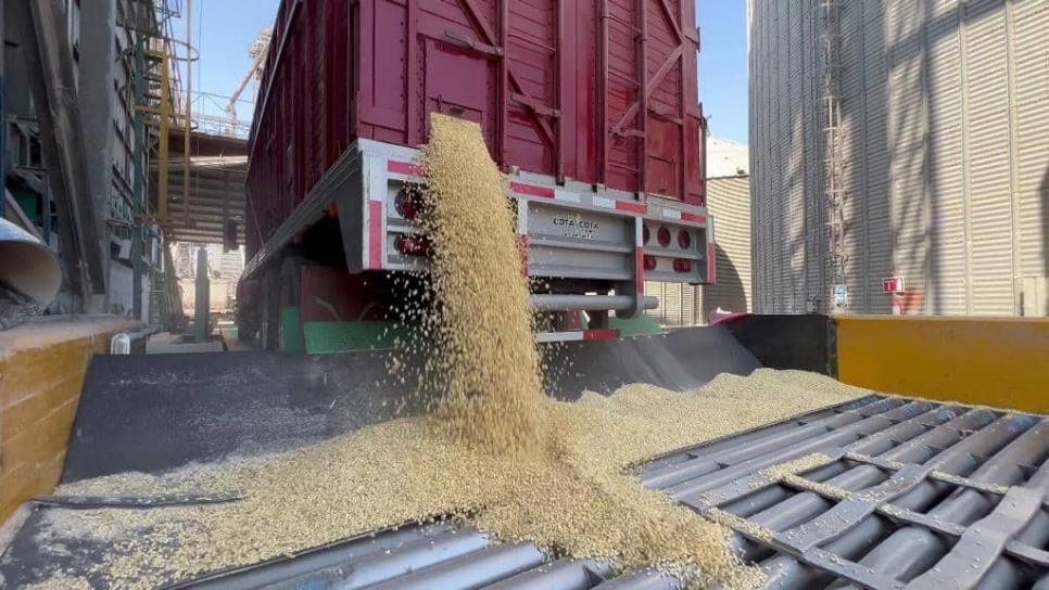 No hay confianza en Gobierno Federal, por eso productores no entran al esquema de comercialización: LCA