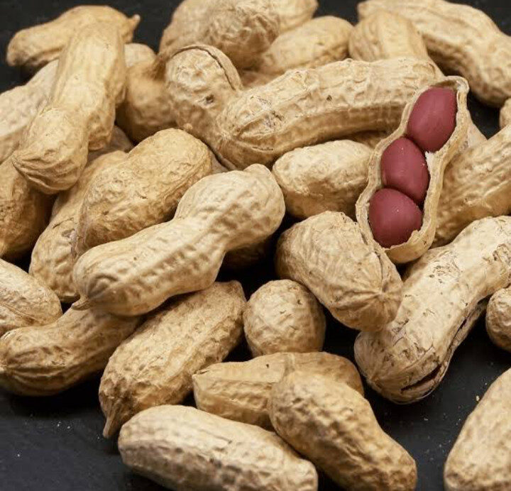 Productores de cacahuate pueden aplicar al programa para mejoramiento de semilla 2025