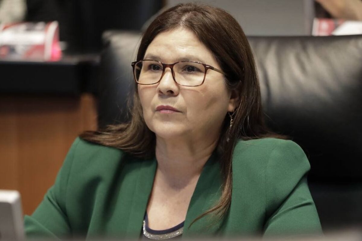 Senado alista ofensiva contra el crimen organizado con leyes y reformas: Imelda Castro