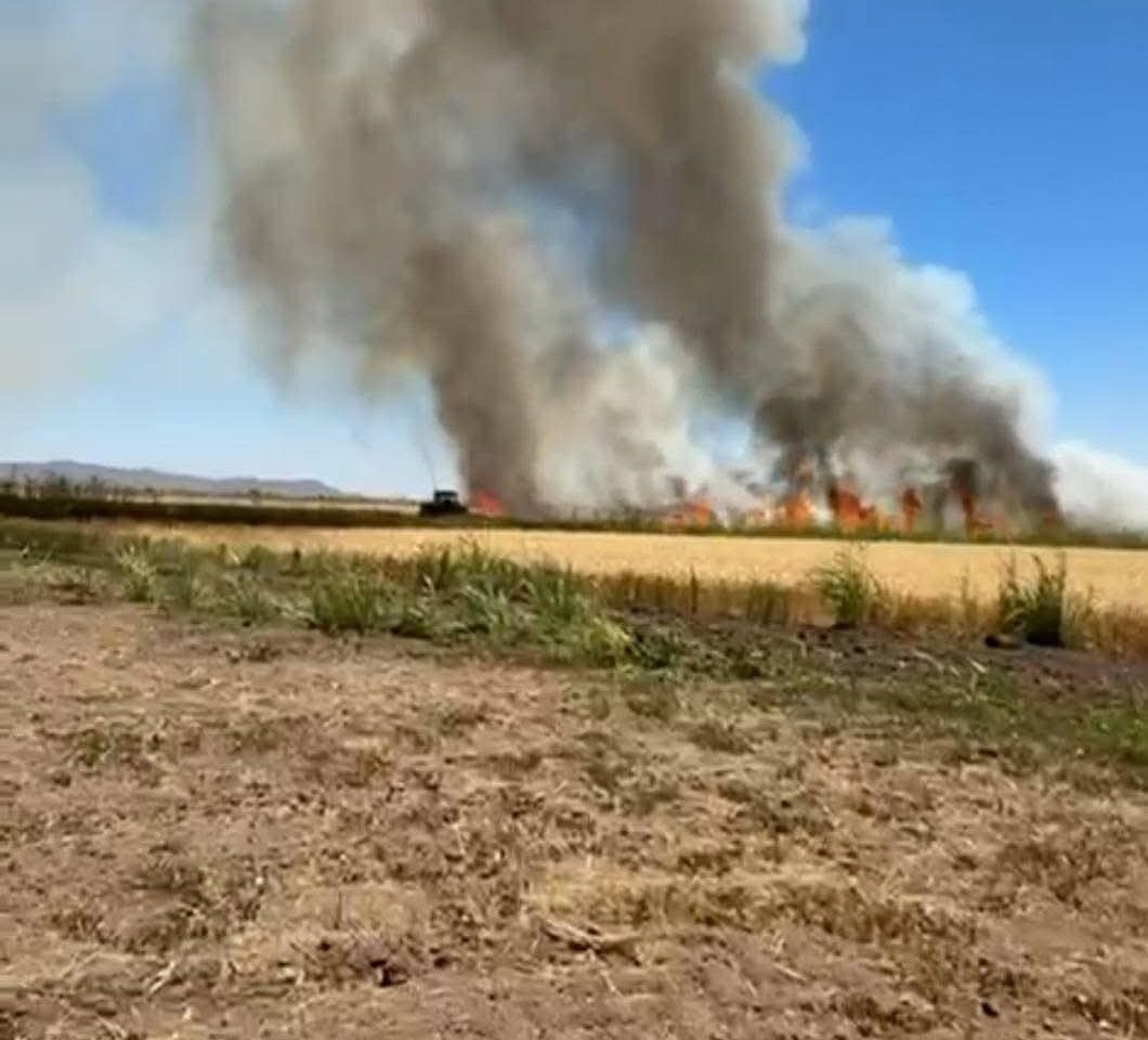 Reporta Bomberos que va a la baja incidentes por quema de soca en Ahome
