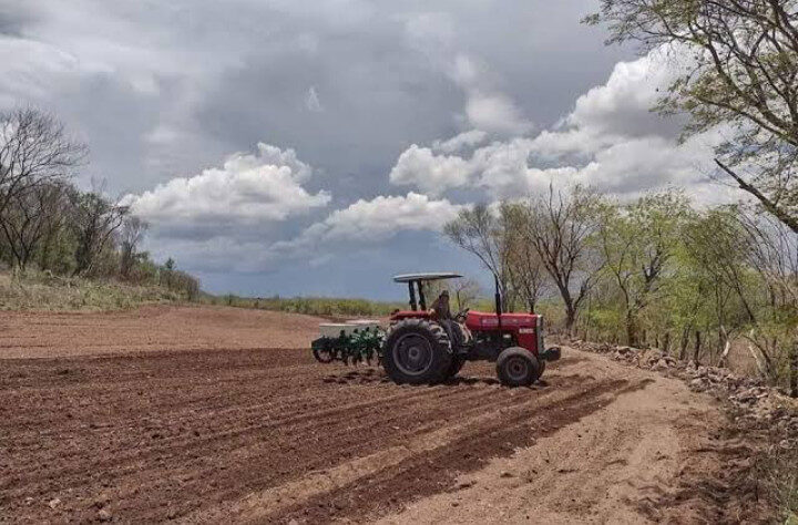 Temporaleros de Choix  piden que se agilice entrega de semilla y aprovechar lluvias